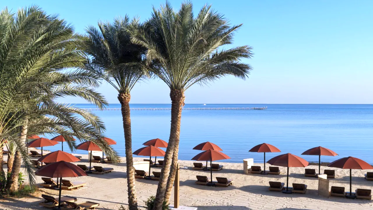 الفندق ذا تشيدي - الجونة